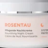 ANNEMARIE BÖRLIND Nachtcremes|Gesichtspflege^- ROSENTAU Nachtcreme 50ml