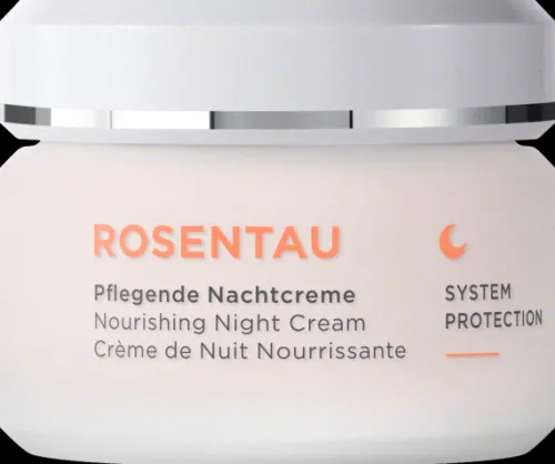 ANNEMARIE BÖRLIND Nachtcremes|Gesichtspflege^- ROSENTAU Nachtcreme 50ml