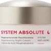 ANNEMARIE BÖRLIND Naturkosmetik|Nachtcremes^- SYSTEM ABSOLUTE Regenerierende Nachtcreme 50ml