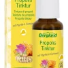 Bergland-Pharma GmbH & Co KG Hals, Mund Und Rachen^Bergland - Propolis Tinktur 30ml