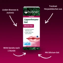 HÜBNER Mund- Und Zahnpflege|Hautpflege^Hübner - Lippenherpes-Gel, 2g