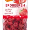 LANDGARTEN GMBH & CO. KG Trockenfrüchte^Landgarten - Bio Erdbeeren gefriergetrocknet, 20g