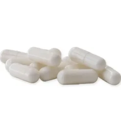 Raab Vitalfood Verdauung^- Flohsamenschalen Bio 100 Kapseln