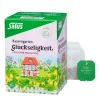 SALUS Früchtetee^- Bauerngarten Glückseligkeit Früchtetee bio 15FB